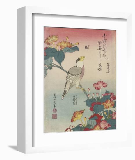 Hawfinch and Marvel-of-Peru-Katsushika Hokusai-Framed Art Print