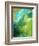 Hawiian Morning-Herb Dickinson-Framed Photographic Print