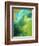 Hawiian Morning-Herb Dickinson-Framed Photographic Print