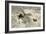 Hawk and Black Game, 1884-Bruno Andreas Liljefors-Framed Giclee Print