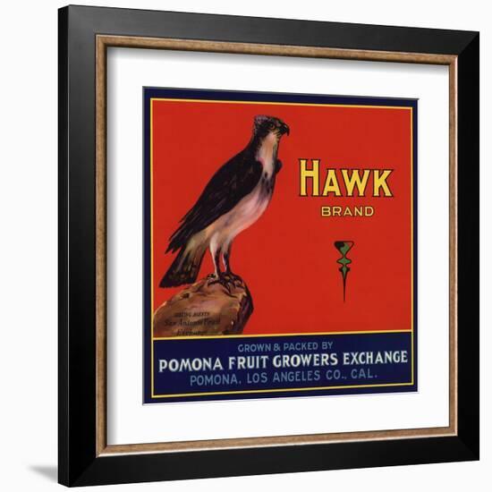 Hawk Brand - Pomona, California - Citrus Crate Label-Lantern Press-Framed Art Print