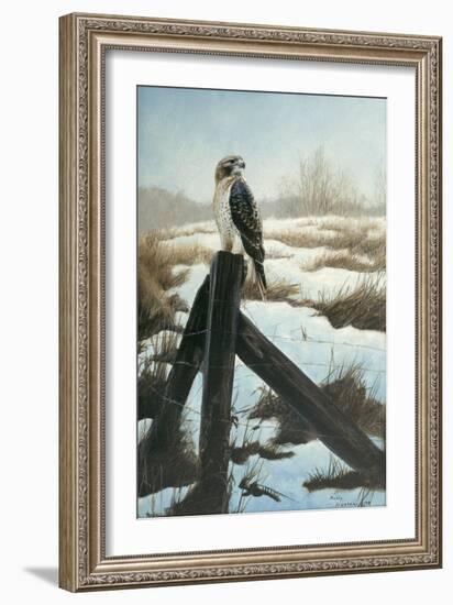 Hawk Eye-Rusty Frentner-Framed Giclee Print