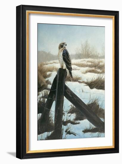 Hawk Eye-Rusty Frentner-Framed Giclee Print