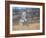 Hawk in flight-Michael Scheufler-Framed Photographic Print