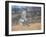 Hawk in flight-Michael Scheufler-Framed Photographic Print