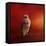 Hawk on a Hot Day-Jai Johnson-Framed Premier Image Canvas