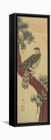 Hawk on Pine Branch, Summer, September 1853-Utagawa Hiroshige-Framed Premier Image Canvas