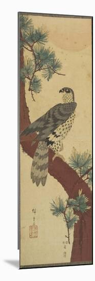 Hawk on Pine Branch, Summer, September 1853-Utagawa Hiroshige-Mounted Giclee Print