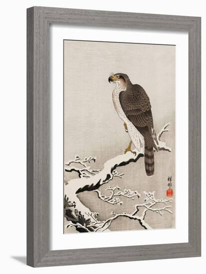 Hawk on Snow-Covered Branch-Koson Ohara-Framed Giclee Print