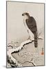 Hawk on Snow-Covered Branch-Koson Ohara-Mounted Giclee Print