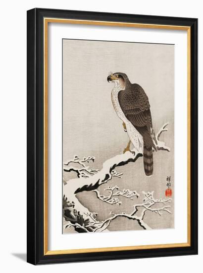 Hawk on Snow-Covered Branch-Koson Ohara-Framed Giclee Print