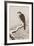 Hawk on Snow-Covered Branch-Koson Ohara-Framed Giclee Print