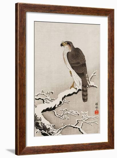 Hawk on Snow-Covered Branch-Koson Ohara-Framed Giclee Print