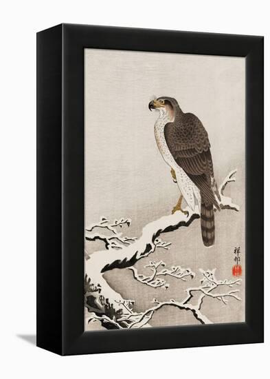 Hawk on Snow-Covered Branch-Koson Ohara-Framed Premier Image Canvas