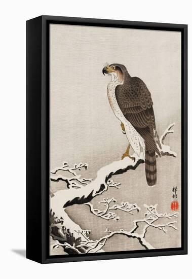 Hawk on Snow-Covered Branch-Koson Ohara-Framed Premier Image Canvas