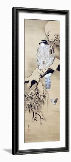 Hawk on Snowy Branch-Zeshin Shibata-Framed Giclee Print