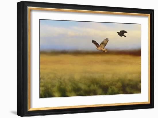 Hawk on the Run-Jai Johnson-Framed Giclee Print