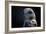 Hawk-Gordon Semmens-Framed Photographic Print