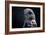 Hawk-Gordon Semmens-Framed Photographic Print