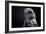 Hawk-Gordon Semmens-Framed Photographic Print