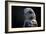 Hawk-Gordon Semmens-Framed Photographic Print