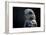 Hawk-Gordon Semmens-Framed Photographic Print