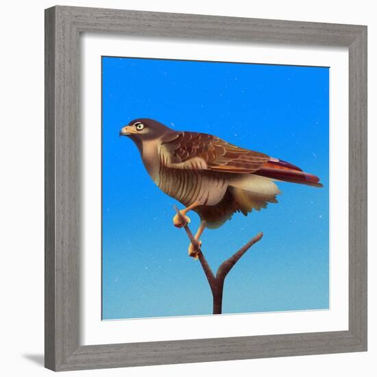 Hawk-Franco Caballero-Framed Giclee Print