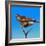 Hawk-Franco Caballero-Framed Giclee Print