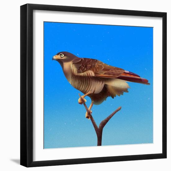 Hawk-Franco Caballero-Framed Giclee Print