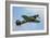Hawker Hurricane World War Ii Fighter Plane of the Royal Air Force-Stocktrek Images-Framed Photographic Print