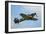 Hawker Hurricane World War Ii Fighter Plane of the Royal Air Force-Stocktrek Images-Framed Photographic Print