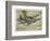 Hawker 'Hurricane'-null-Framed Photographic Print