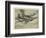 Hawker 'Hurricane'-null-Framed Photographic Print