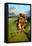 Hawkeye-Spencer Williams-Framed Premier Image Canvas