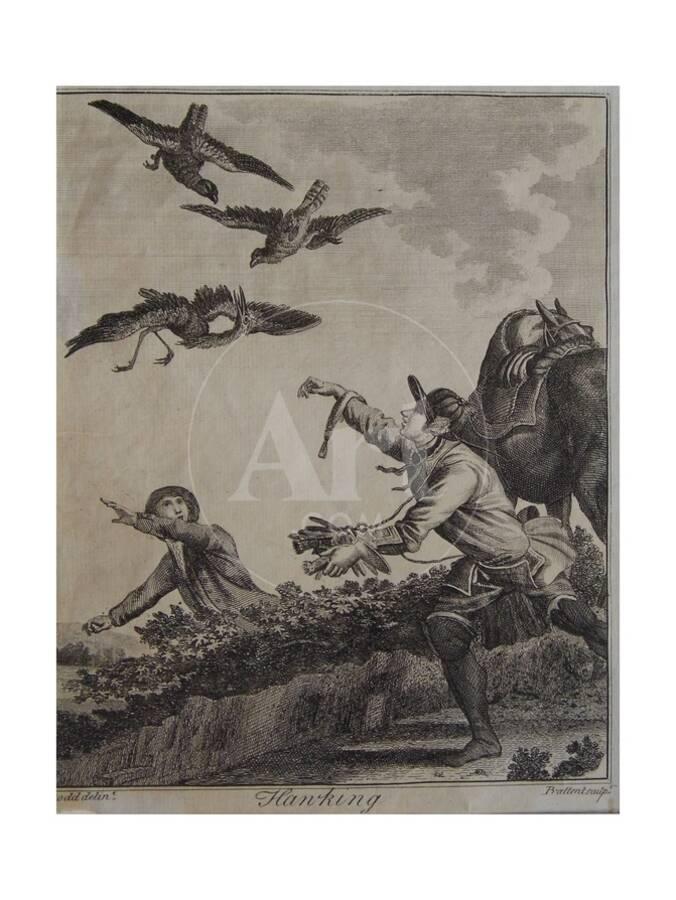 Hawking 1792 Giclee Print Daniel Dodd Art Com