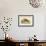 Hawks Bill Turtle-Mark Catesby-Framed Art Print displayed on a wall