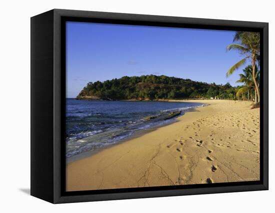 Hawksbill Beach, Antigua, Caribbean, West Indies, Central America-Firecrest Pictures-Framed Premier Image Canvas