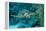 Hawksbill Sea Turtle, Eretmochelys Imbricata, Martinique, French West Indies, Caribbean Sea-Reinhard Dirscherl-Framed Premier Image Canvas