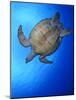 Hawksbill Turtle (Eretmochelys Imbricata) Swimming-Claudio Contreras-Mounted Photographic Print