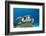 Hawksbill Turtle (Eretmochelys Imbricata)-Reinhard Dirscherl-Framed Photographic Print