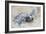 Hawksbill Turtle Hatching-Lantern Press-Framed Art Print