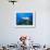 Hawksbill Turtle Swimming above Reef-Paul Souders-Framed Photographic Print displayed on a wall