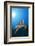 Hawksbill Turtle-Reinhard Dirscherl-Framed Photographic Print