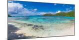 Photographic Print