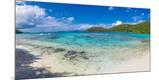 Photographic Print