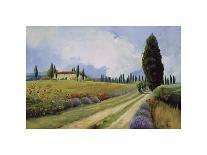 Tuscany Vineyard-Hawley-Giclee Print