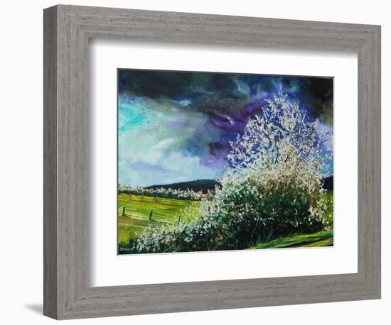 Hawthorn in blossom-Pol Ledent-Framed Art Print