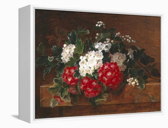 Hawthorn on a Marble Ledge-Johan Laurentz Jensen-Framed Premier Image Canvas