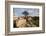 Hawthorn tree and granite outcrop, Saddle Tor, Dartmoor, UK-Ross Hoddinott / 2020VISION-Framed Photographic Print