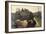 Hay, 1893-Luigi Rossi-Framed Giclee Print